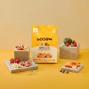 디자인독 이미지