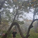 일출로2 | 지리산 노고단 반야봉 일출 산행 코스 및 후기 [25.10.05]