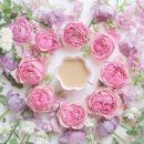 월드안경콘택트 이미지