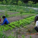 부흥목장 이미지