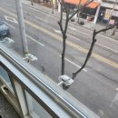 장터로 | 학교장터로 부업하는 방법(위탁판매 강의 후기)