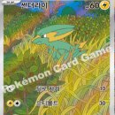 TCG | 포켓몬 카드 열풍의 아레나 정가 및 힛카드 시세 및 목록 TCG(2026.05.27 기준) 개봉 후기
