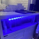 대갈통문어 | 서면 내돈내산 문어숙회 해물라면 맛있는곳 대갈통문어 솔직후기 서면롯데백화점 맛집