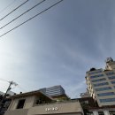 시로2 | 성수역 “시로” 내돈내산 후기!?