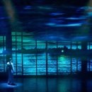 데이지컴퍼니 이미지