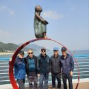 강릉임해자연휴양림 이미지