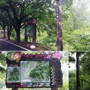 비슬산둘레길 3구간 이미지
