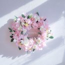 더데이리스