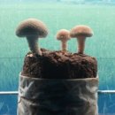 한길농부 농장 이미지