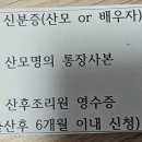 충청북도 청주시 | [출산후기] 충청북도 &amp; 청주시 출산 혜택 총정리 (feat. 출산 서비스 신청)