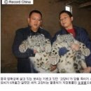 시크헤어 이미지