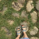 모닝펠리스 이미지