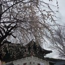 신평남부길 이미지