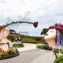 곡성-232 이미지