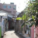 중성동117 이미지