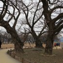 심산기념관 이미지