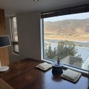 바보펜션 | 전국 혜원이 들이 다 모인다는 춘천 감성 숙소 ‘펜션혜원’ (feat. 고양이 천국) 내돈내산 후기