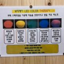 편백힐링찜질따숨