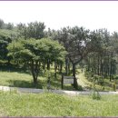 소양보육원앞 이미지