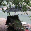 죽림낚시 이미지