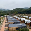 에코야영장 | 북한산 사기막 야영장 2025 예약 및 이용