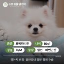 강내동물병원 이미지