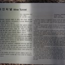 와인터널 이미지