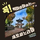 스마트폰으로 배우는 사진촬영과 보정법 네이버블로그