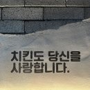 여기 치킨 맛집 맞아요. 국내산 순살 쓰는 양산 술집 생활맥주 양산범어점