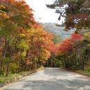 대흥반점 이미지