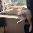 뚱땅뚱땅 이미지