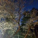 전평원 참한고기 이미지