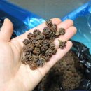 무재(無在) 이미지