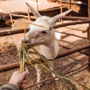 이지바이오텍 이미지