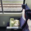 새마을 | ITX 마음 새마을 비교, 구미 대전 기차 후기 자리 추천 꿀팁