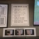 돼지 삼촌 | [남양주 평내호평 맛집] 1987 돼지삼촌