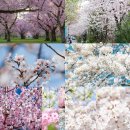 여기산공원 사거리 이미지