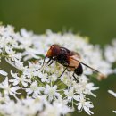 헬씨라이프 이미지