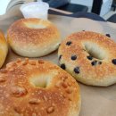 일산 동구 카페 당일 생산 마두동 베이글 방문 후기 🥯