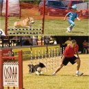 (주)사료회관 이미지