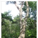 구만산장 이미지