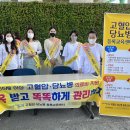 포항시남구65 이미지