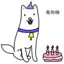 프리티파우 이미지