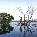 롯데쇼핑(주) 광복점 이미지