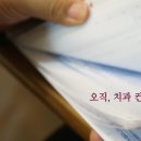 어니언컴퍼니 - 강북구 솔매로50길 55 | 어니언컴퍼니
