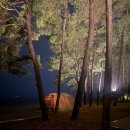 11545-11-99-15 | 10월15일-10월 17일 태안 마검포힐링캠핑장 3-11사이트 2박3일 후기