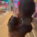 예강기획