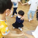 여우야 이미지