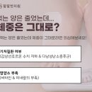 팔팔노래연습장 이미지