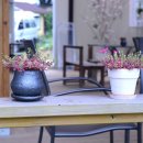 종합 행정사사무소 이미지